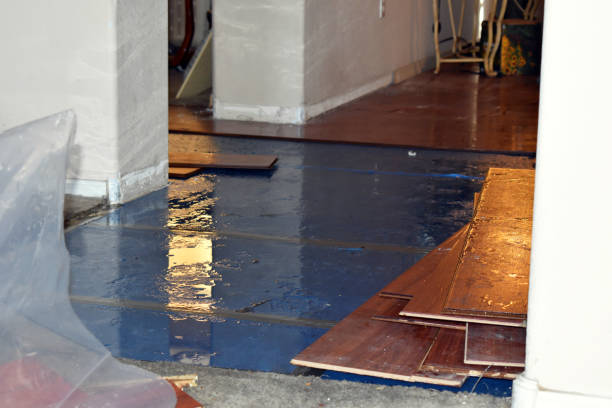 Professional Water Damage Restoration technician working in Lambert Lake, ME